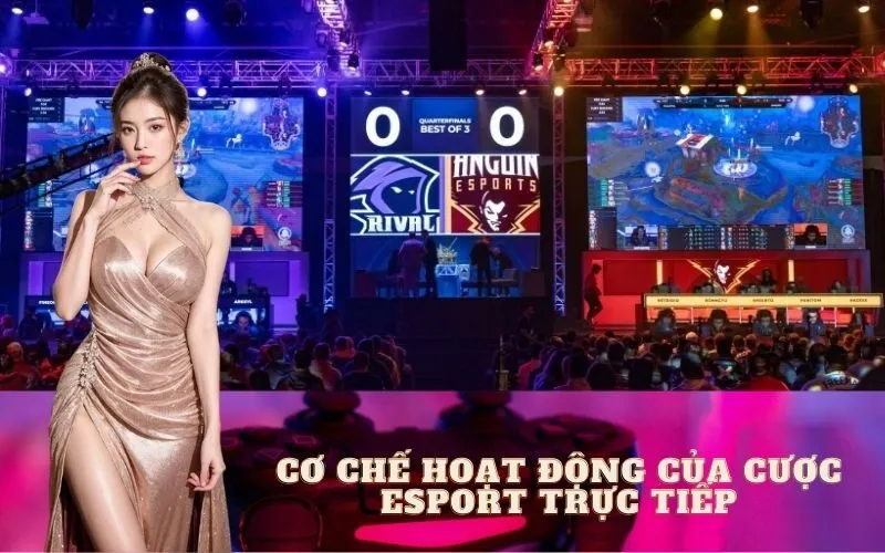 Cơ Chế Hoạt Động Của Cược Esport Trực Tiếp