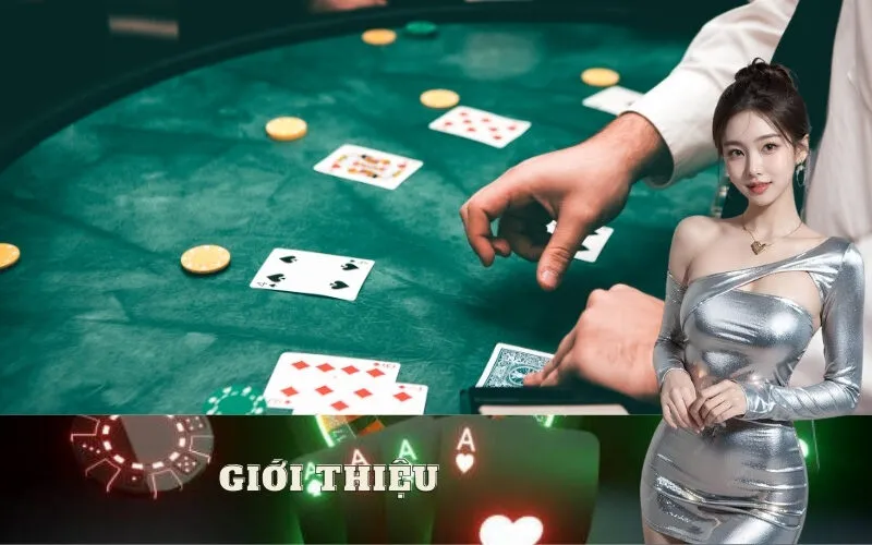 Giới Thiệu Win456