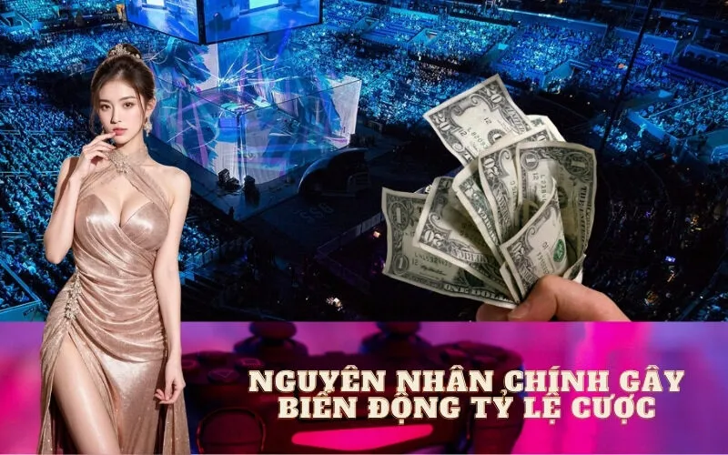 Nguyên Nhân Chính Gây Biến Động Tỷ Lệ Cược